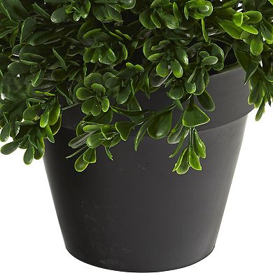 nearly natural Indoor / Outdoor Artificial Boxwood Plant Table Decor