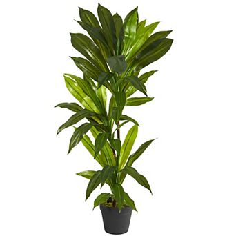 nearly natural 36" x 13" Artificial Dracaena Plant Floor Decor