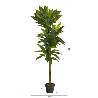 nearly natural 56-in. Artificial Dracaena Plant Floor Decor