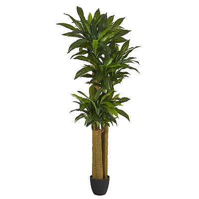 indoor plant with pots LE TAUCI 12 Inch Pots for Plants, Ceramic Large Planters for Indoor Pl   LETAUCI