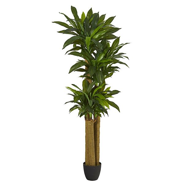 nearly natural 6-ft. Artificial Corn Stalk Dracaena Plant Floor Decor