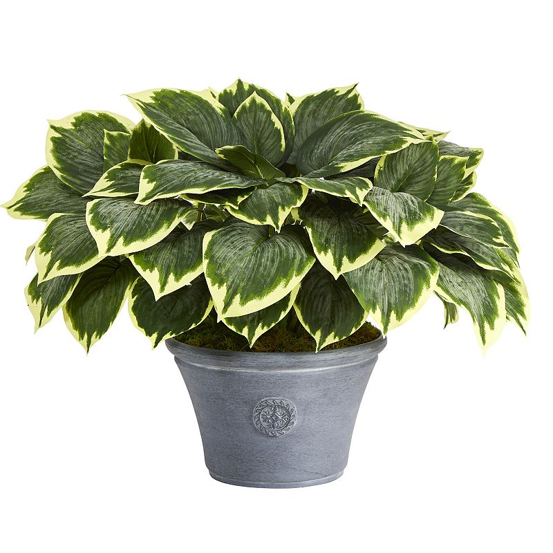 nearly natural Artificial Variegated Hosta Plant Floor Decor, Green