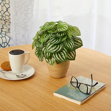 nearly natural Artificial Watermelon Peperomia Plant Table Decor