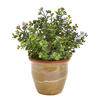 nearly natural Artificial Eucalyptus and Sedum Succulent Plant Table Decor