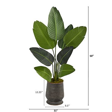 nearly natural 50" x 11" Artificial Travelers Palm Tree Floor Decor