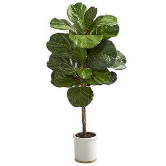 nearly natural Fiddle Leaf Tree Artificial Plant Floor Decor in Ceramic Planter