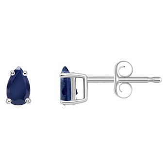 Celebration Gems 14k White Gold Pear Shape Birthstone Stud Earrings