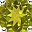Peridot Aug