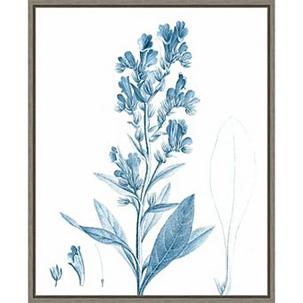 Amanti Art Antique Botanical in Blue III Framed Canvas Wall Art