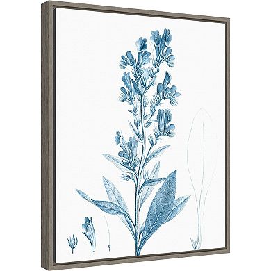 Amanti Art Antique Botanical in Blue III Framed Canvas Wall Art