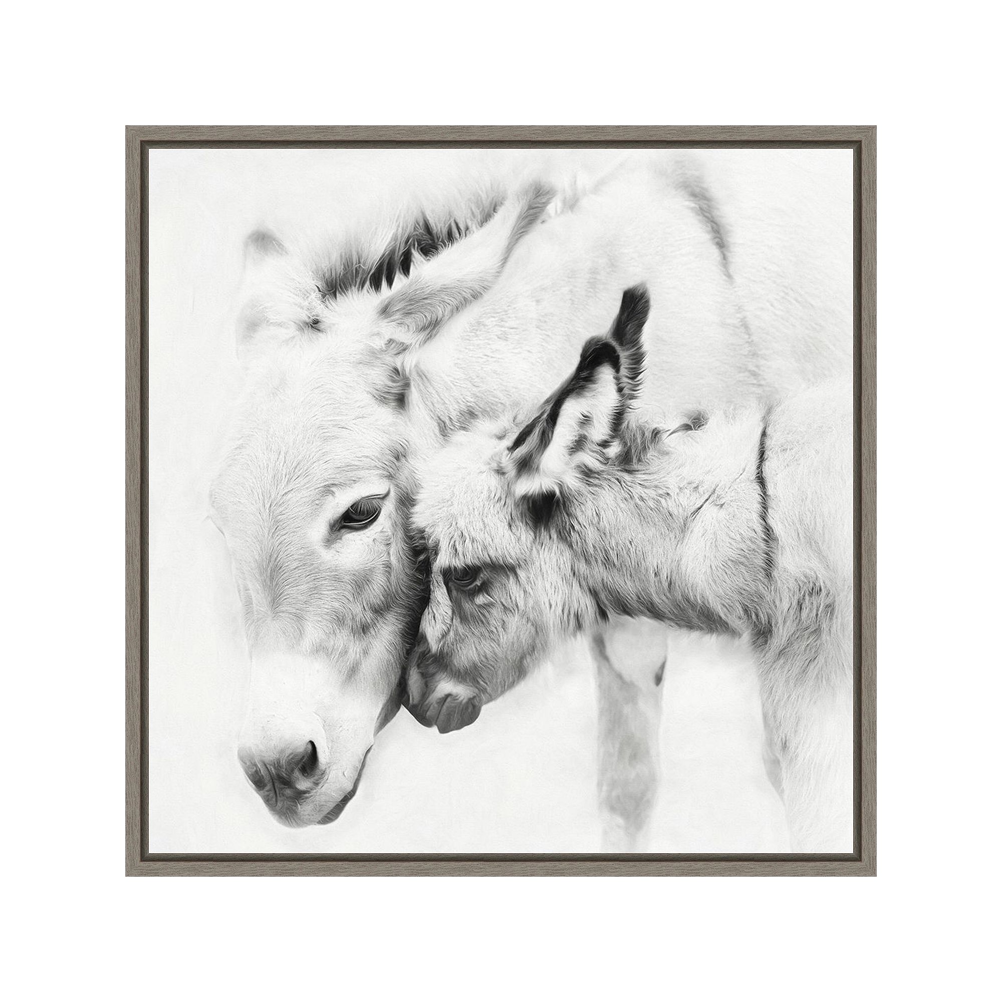 Amanti Art Donkey Portrait III PHBurchett Framed Canvas Wall Art, Gray