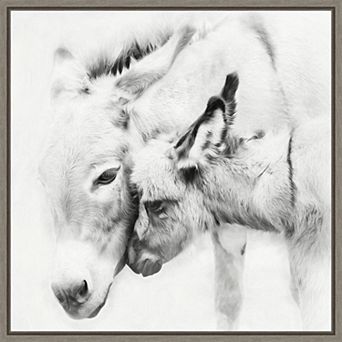 Amanti Art Donkey Portrait III PHBurchett Framed Canvas Wall Art