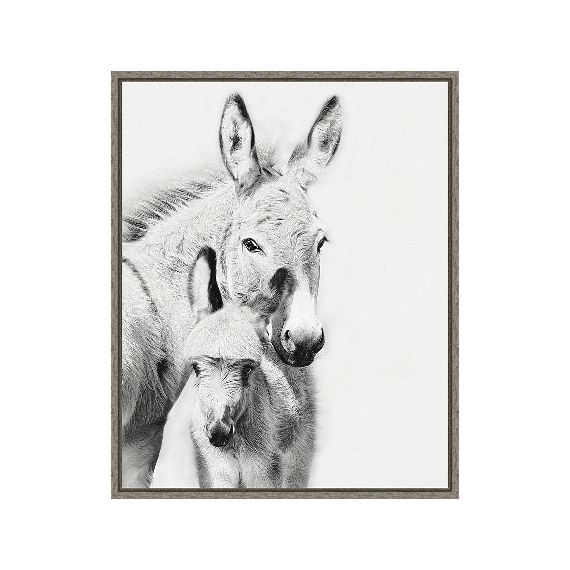 Amanti Art Donkey Portrait V PHBurchett Framed Canvas Wall Art, Gray