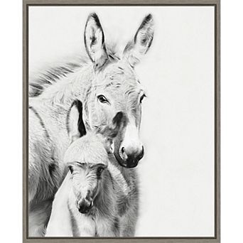 Amanti Art Donkey Portrait V PHBurchett Framed Canvas Wall Art