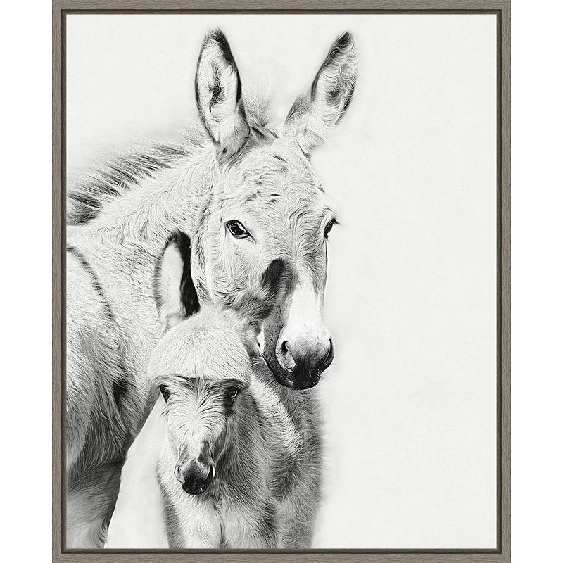 Amanti Art Donkey Portrait V PHBurchett Framed Canvas Wall Art, Grey, 20X16