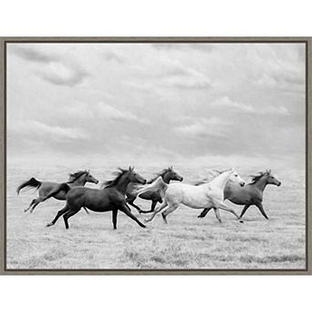 Amanti Art Horse Run I Framed Canvas Wall Art