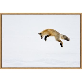Amanti Art Red Fox in Snow Framed Canvas Wall Art