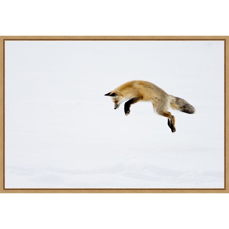 Amanti Art Red Fox in Snow Framed Canvas Wall Art, Brown, 16X23
