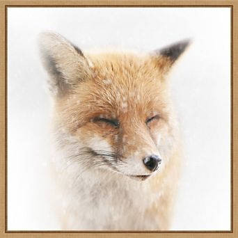 Amanti Art Satisfied Fox Framed Canvas Wall Art