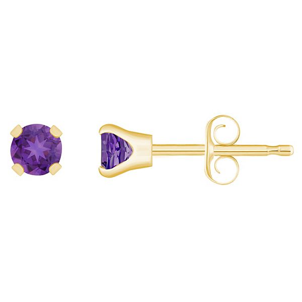 14k Gold Birthstone Stud Earrings - February