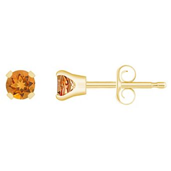 Celebration Gems 14k Gold Birthstone Stud Earrings