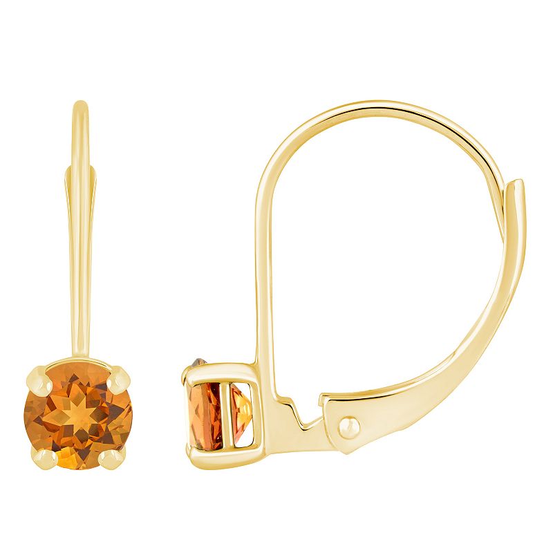 14k Gold Gemstone Leverback Earrings, Womens, Orange