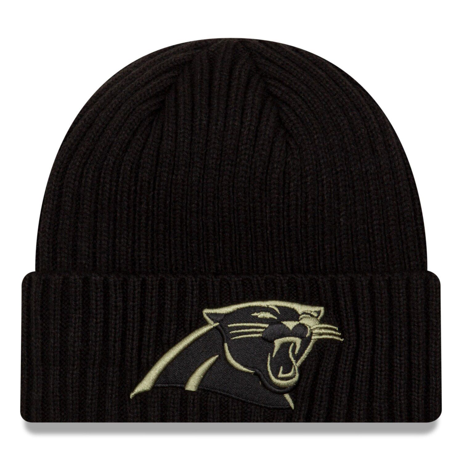 salute to service panthers hat