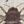 Bee Crown