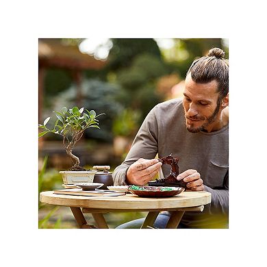LEGO Bonsai Tree 10281 Building Kit (878 Pieces)
