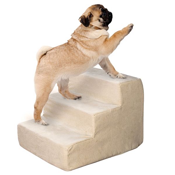 Kohls 2025 dog steps