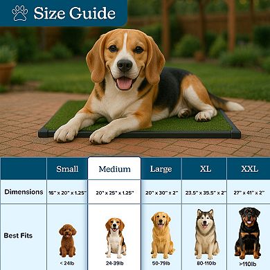 PetMaker Pet Pal Puppy Potty Trainer