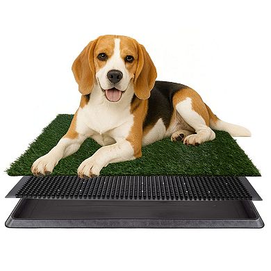 PetMaker Pet Pal Puppy Potty Trainer