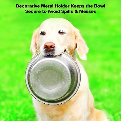 PetMaker Pet Pal Raised Stainless Steel Food & Water Bowls with Decorative Stand