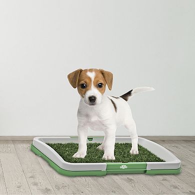 PetMaker Pet Pal Raised Edge Puppy Potty Trainer