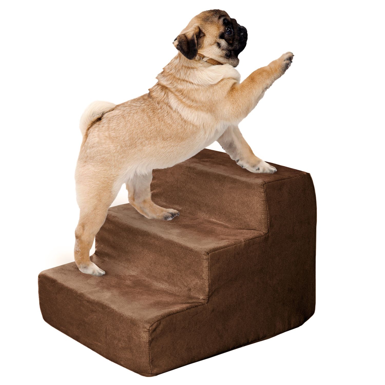 Kohls 2024 dog steps