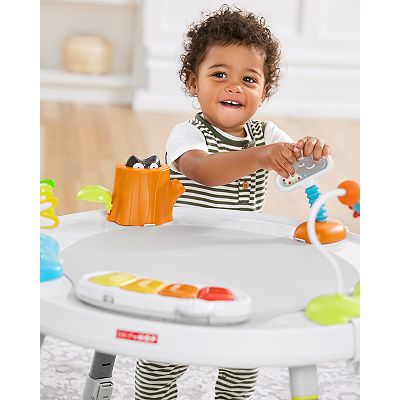 Skip Hop Explore & More 3-Stage Grow-with-Me Interactive Activity