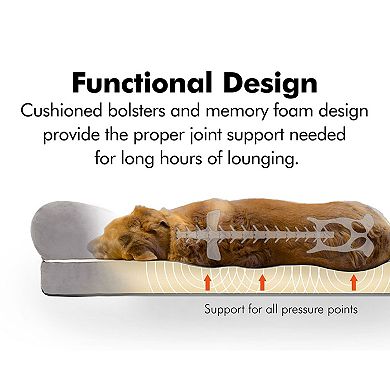 Friends Forever Hastings Pet Couch with Solid Memory Foam