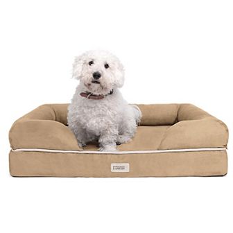 Friends Forever Hastings Pet Couch with Solid Memory Foam