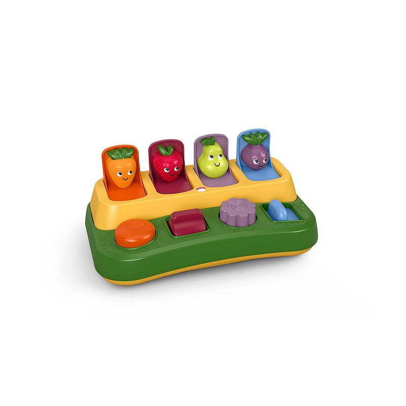 UPC 887961602036 product image for Fisher-Price Infant Tiny Garden Pop-Up Surprise, Multicolor | upcitemdb.com