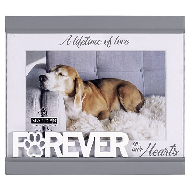 Malden Forever Pet 4