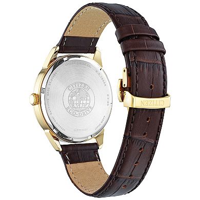 Citizen Men's Eco Day & Date Gold Dial Watch