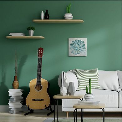 Stupell Home Decor Nautilus Shell Canvas Wall Art