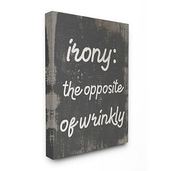 Stupell Home Decor Irony Definition Canvas Wall Art