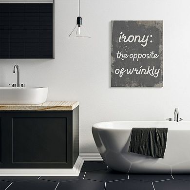 Stupell Home Decor Irony Definition Canvas Wall Art