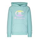 Hoodies & Sweatshirts