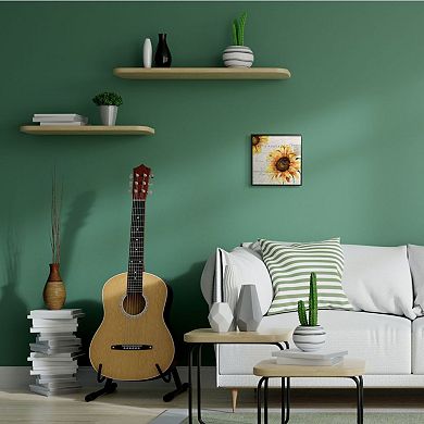 Stupell Home Decor Sunflower Mail Framed Wall Art