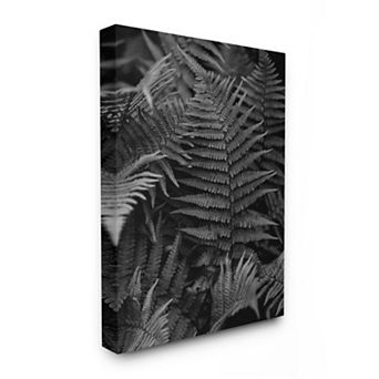 Stupell Home Decor Ferns in the Forest Black and White Photograph Wall Art