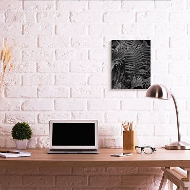 Stupell Home Decor Ferns in the Forest Black and White Photograph Wall Art