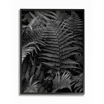 Stupell Home Decor Ferns in the Forest Black and White Photograph Wall Art