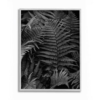 Stupell Home Decor Ferns in the Forest Black and White Photograph Wall Art